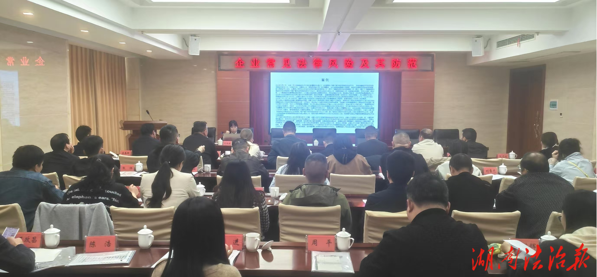 法治护航助企发展 精准普法防范风险——南县法院走进工商联开展企业法律风险防范专题培训