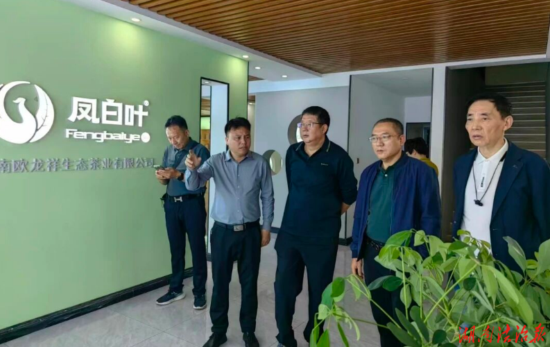 江苏南通商务考察团来新田考察