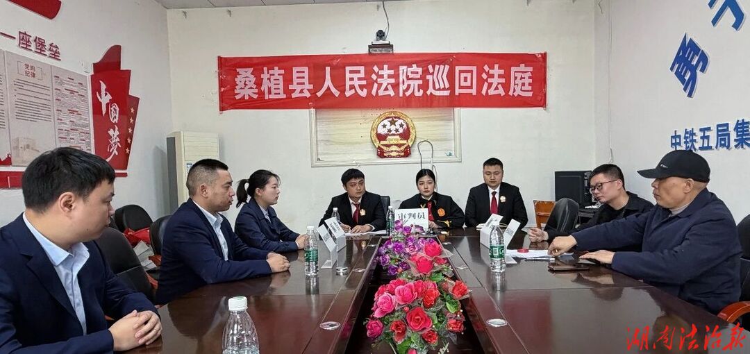 桑植县法院巡回审理金融借款案件 全力维护金融秩序稳定
