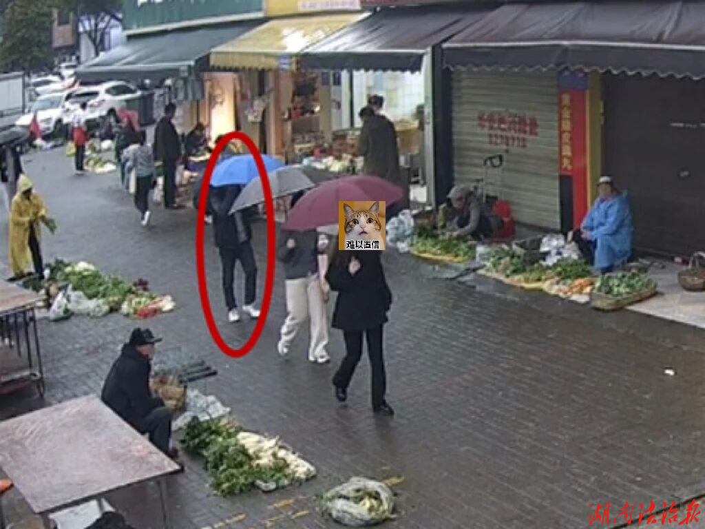岳阳一名扒手被抓