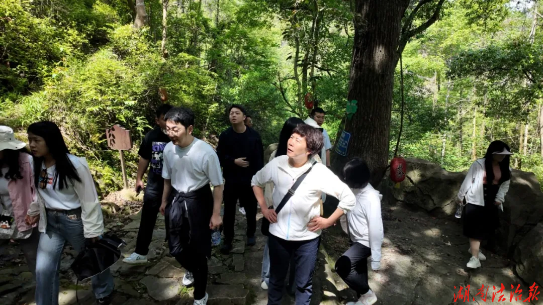 “亲近自然、健康身心、乐享同行”——岳阳楼区人民检察院干警赴张谷英开展春游活动