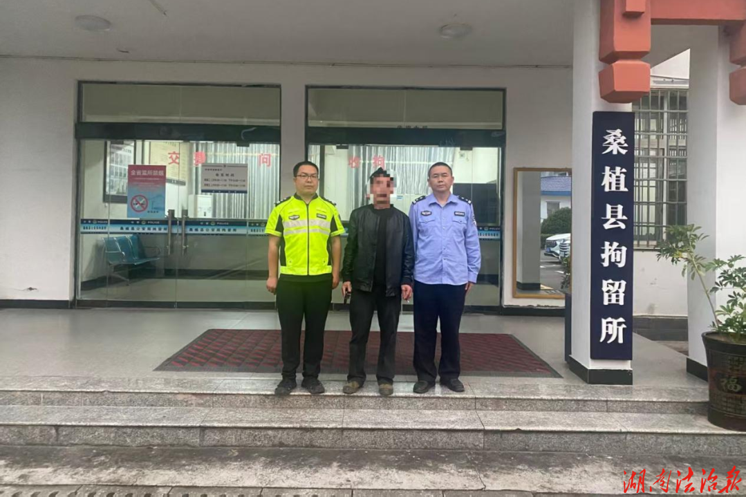 无证+套牌+闯红灯!桑植一男子多项违法被拘留、罚款、扣车