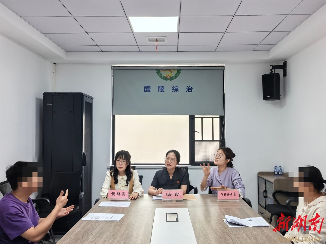 醴陵法院调处一起聋哑夫妻离婚案