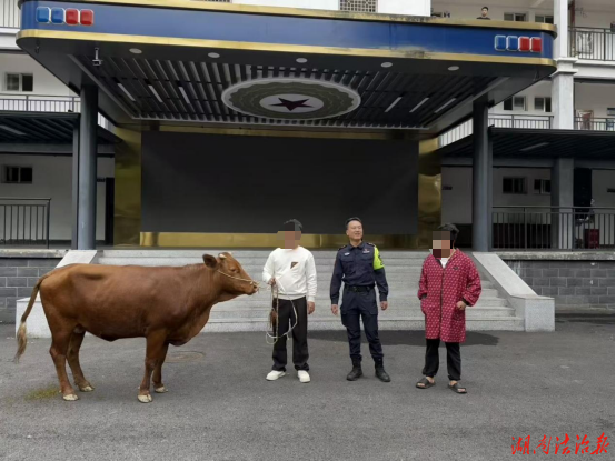 耕牛走失群众急 民警快速找回解民忧
