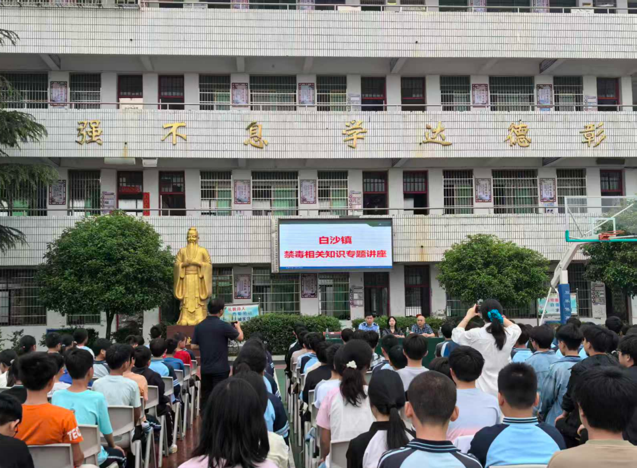 白沙司法所开展"法治护航·安全成长"进校园宣传活动