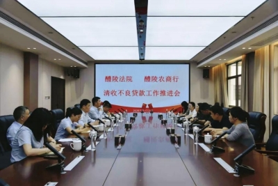 法银联动清收不良资产