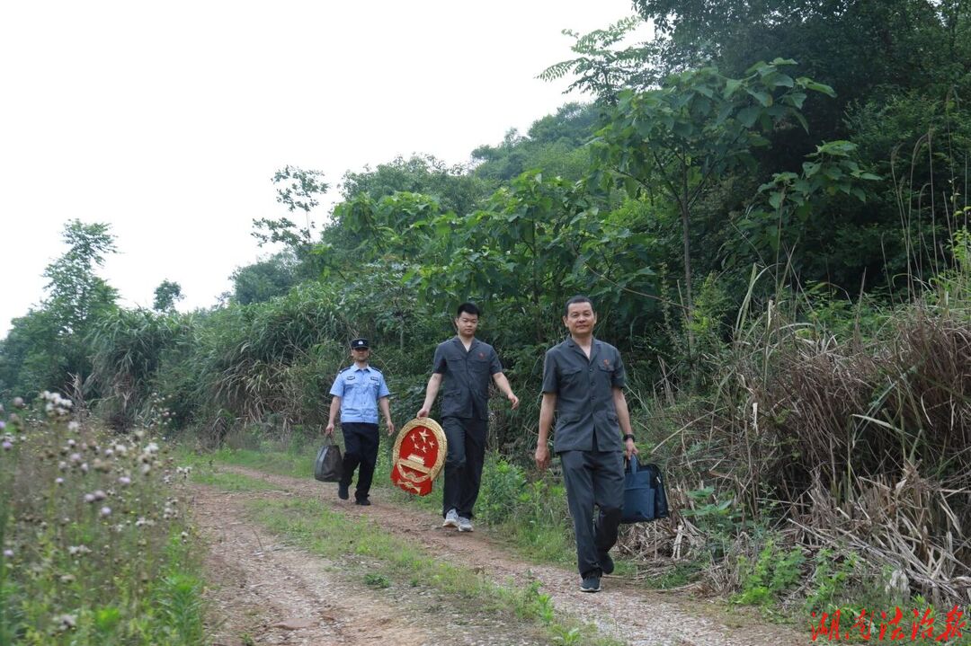 果园里的“枫”景线 临澧法院四新岗法庭成功调解一起涉农案件