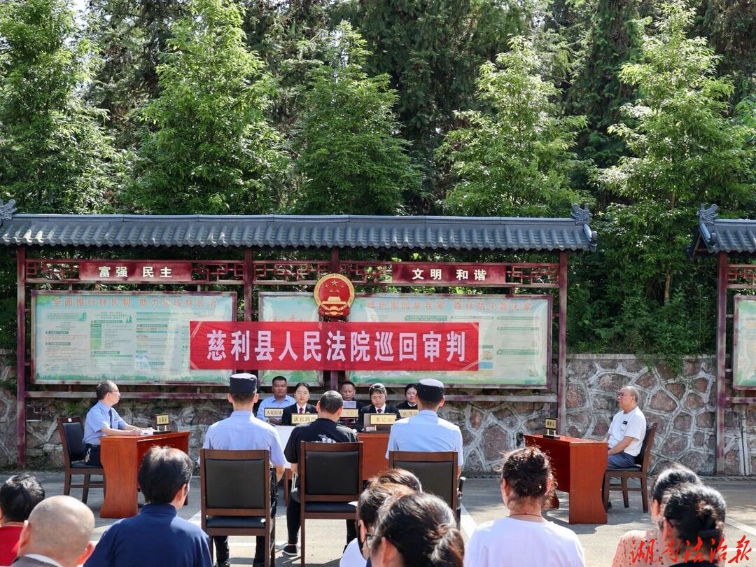 法槌落在林场间！慈利法院巡回审判筑牢生态屏障