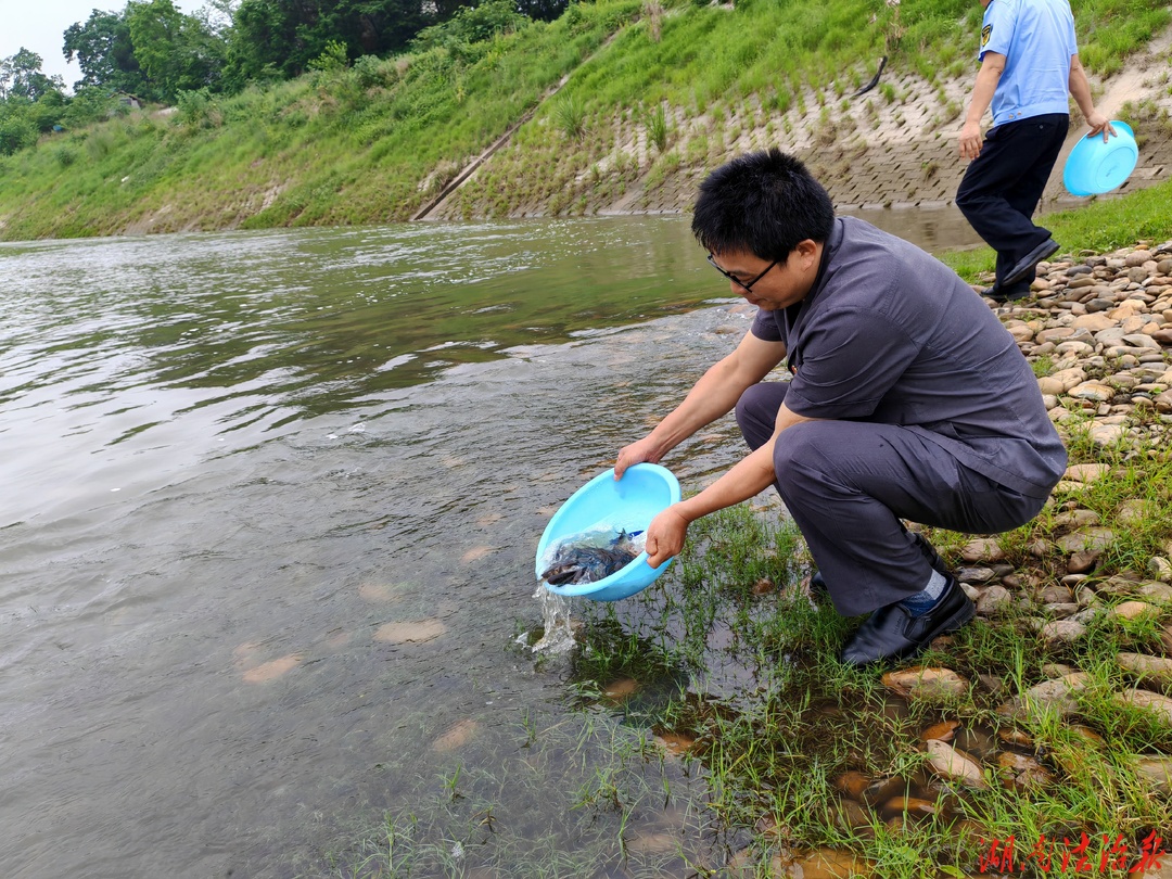 瀘溪法院：非法捕撈別僥幸，生態(tài)賠償“魚”你有關(guān)——向某某非法捕撈水產(chǎn)品案審前實(shí)現(xiàn)生態(tài)修復(fù)