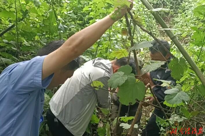 八旬老人进山走失25小时 桑植公安联动搜救助其平安归家