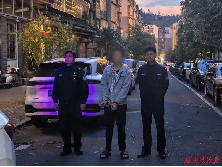 車內(nèi)財(cái)物“不翼而飛”？ 通道公安破獲“拉車門”盜竊案