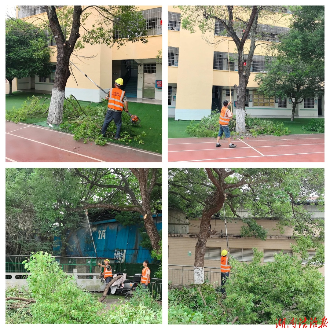 情暖特校校园 修枝筑牢安全防线 ——冷水滩区环卫和园林中心守护特校师生“头顶安全”