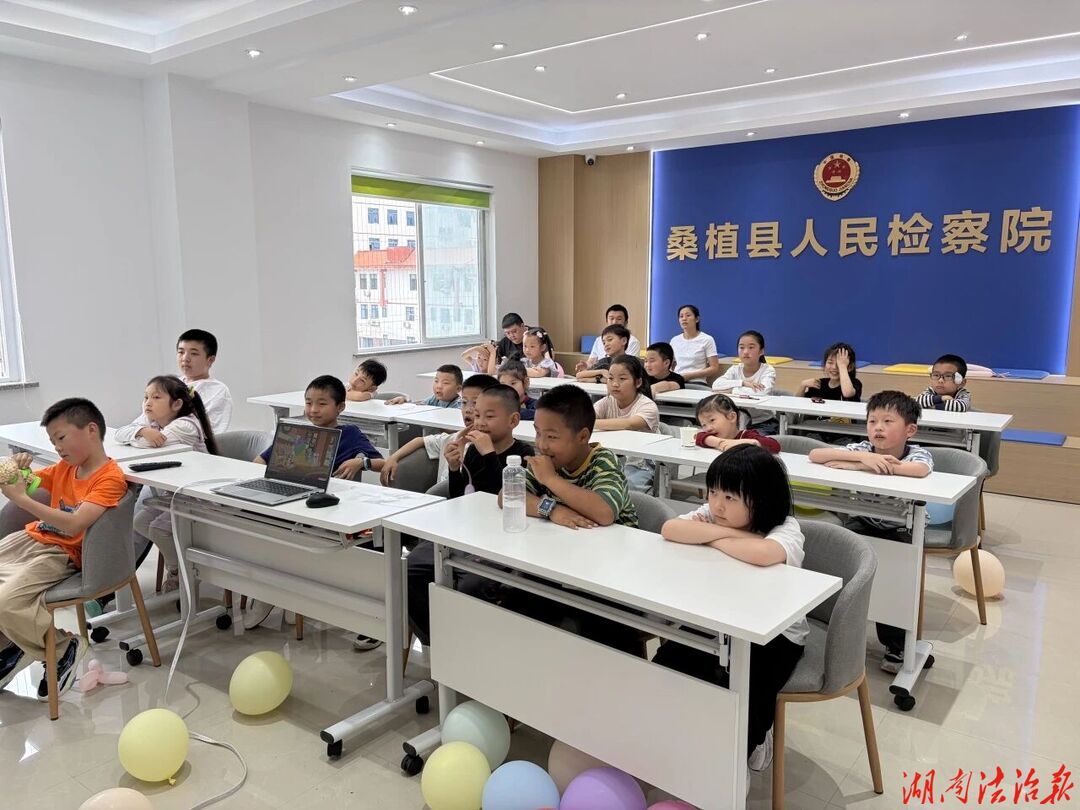六一限定！小小访客探秘检察院