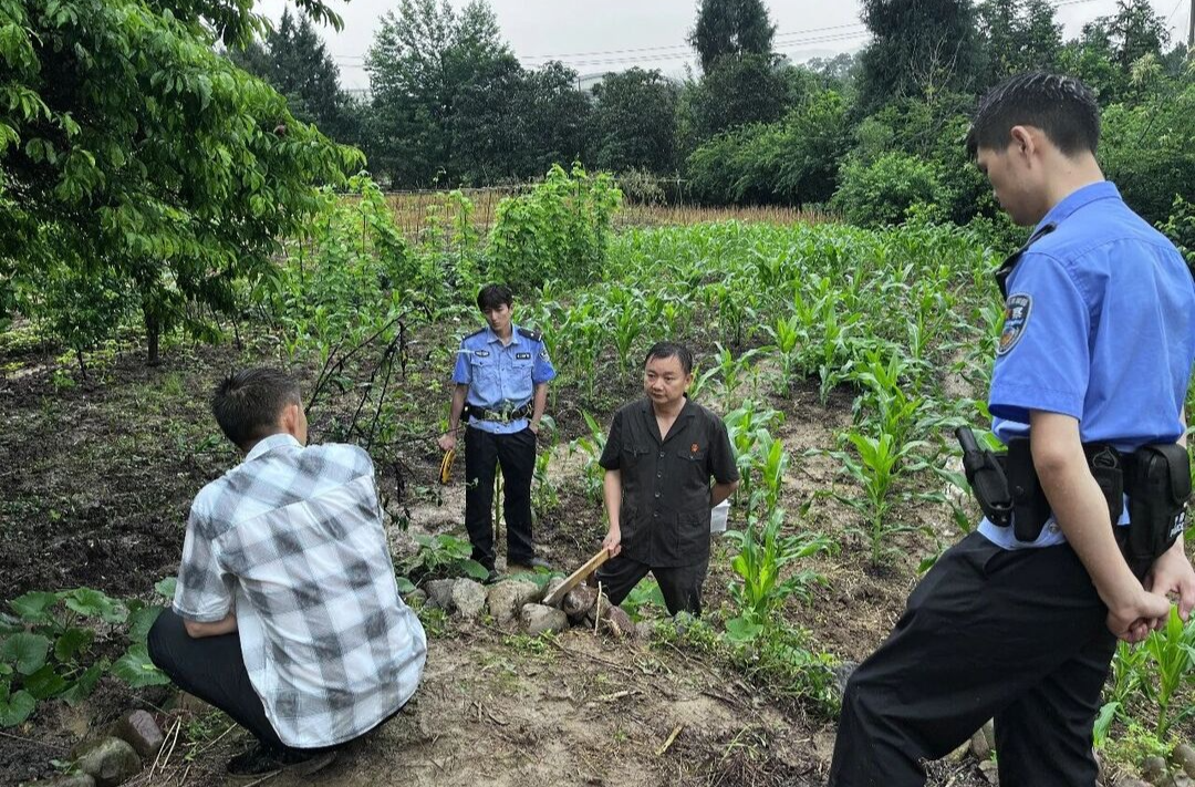 雨幕下的执行：一分玉米地的司法守护