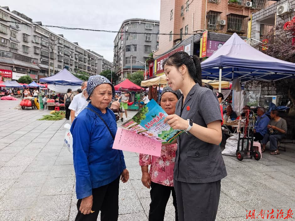 深耕侗乡碳汇资源 护航双碳绿色发展——通道法院开展生态法典普法宣传