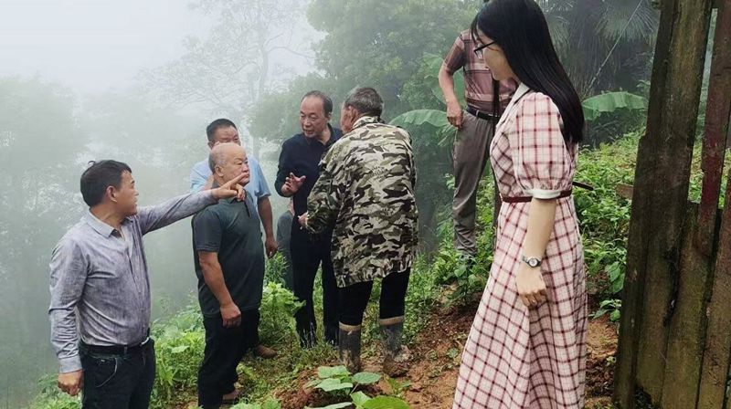 化解“千千结”  拢起“邻里心” ——新化县槎溪镇桐凤村调解委员会工作纪实