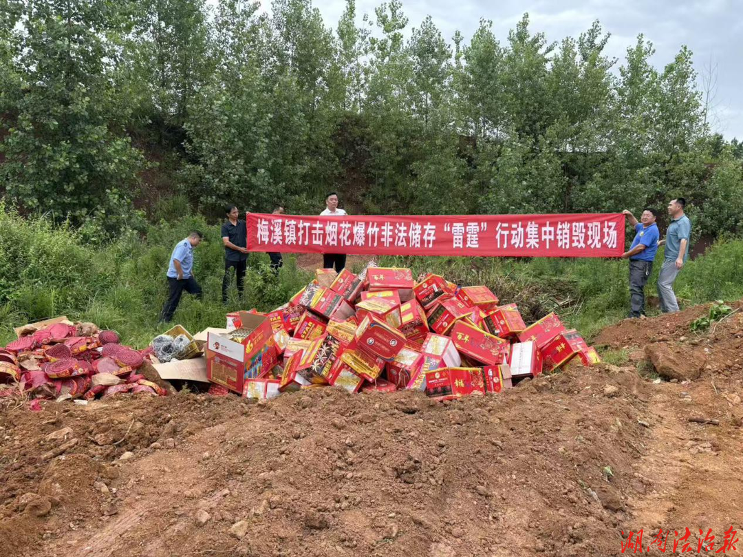 祁阳：集中销毁除隐患保平安