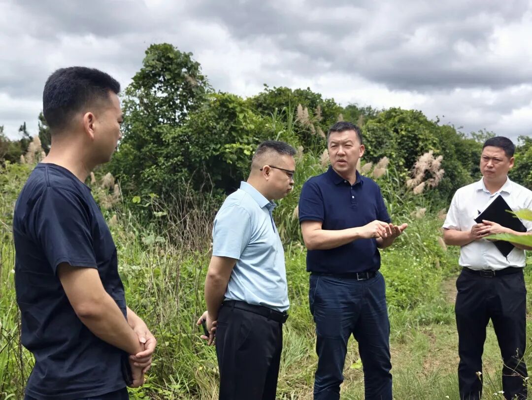 江永：李群辉实地调度国道G538提质改造项目