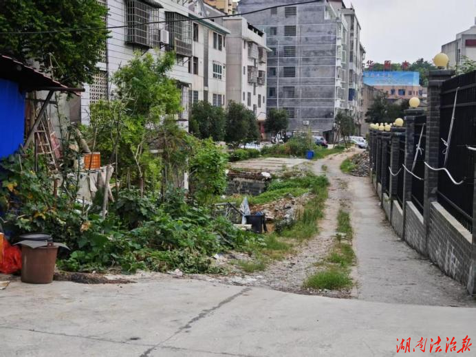 娄星区乐坪街道：议事代表履职忙 破解内涝畅民心