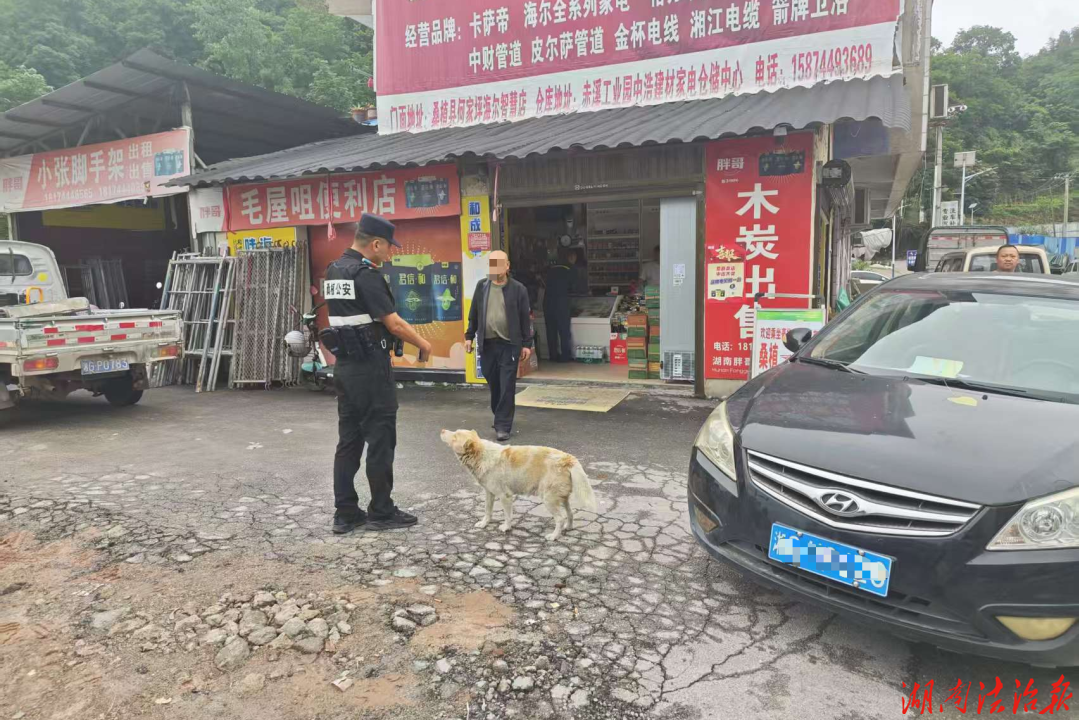 牵好“文明绳”，养犬“不掉链”！