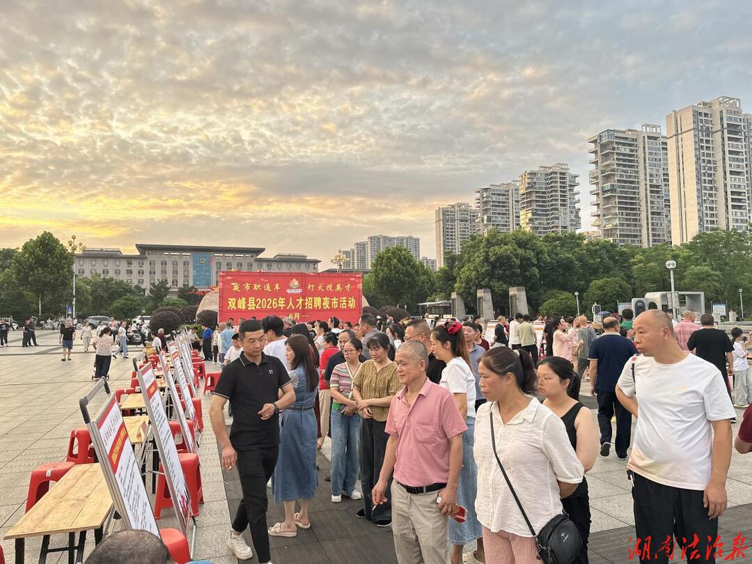 线下面对面洽谈、线上云端式揽才  ——双峰县夜市招聘会激活就业新动能