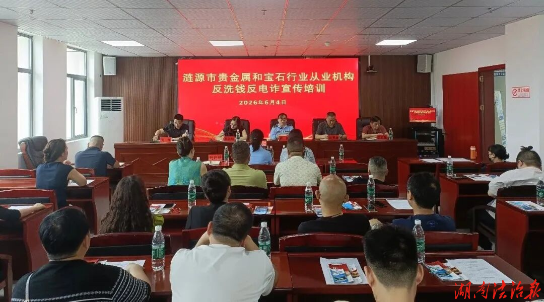 涟源市开展未成年人家庭监护能力评估专题培训