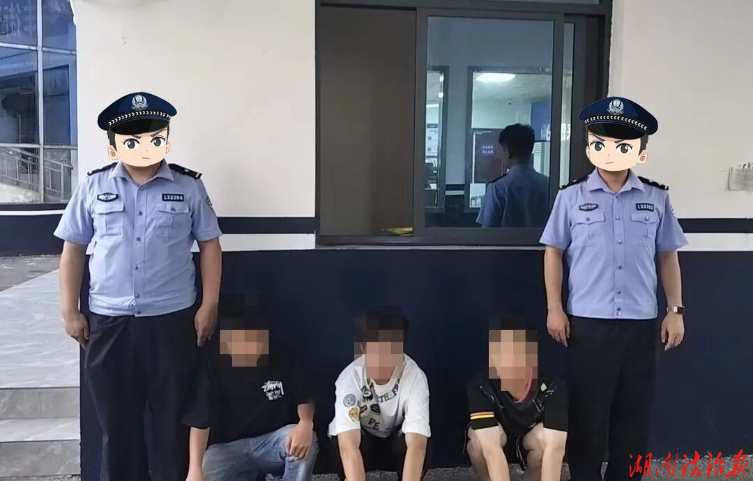 双峰公安永丰派出所：破获5起案件，抓获8人