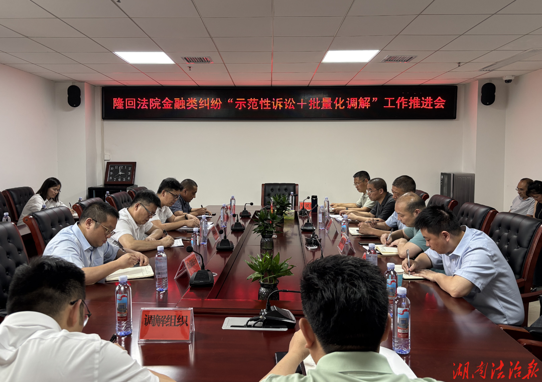 以示范诉讼赋能 让批量调解提效—隆回法院召开金融类案件“示范性诉讼+批量化调解”工作推进会
