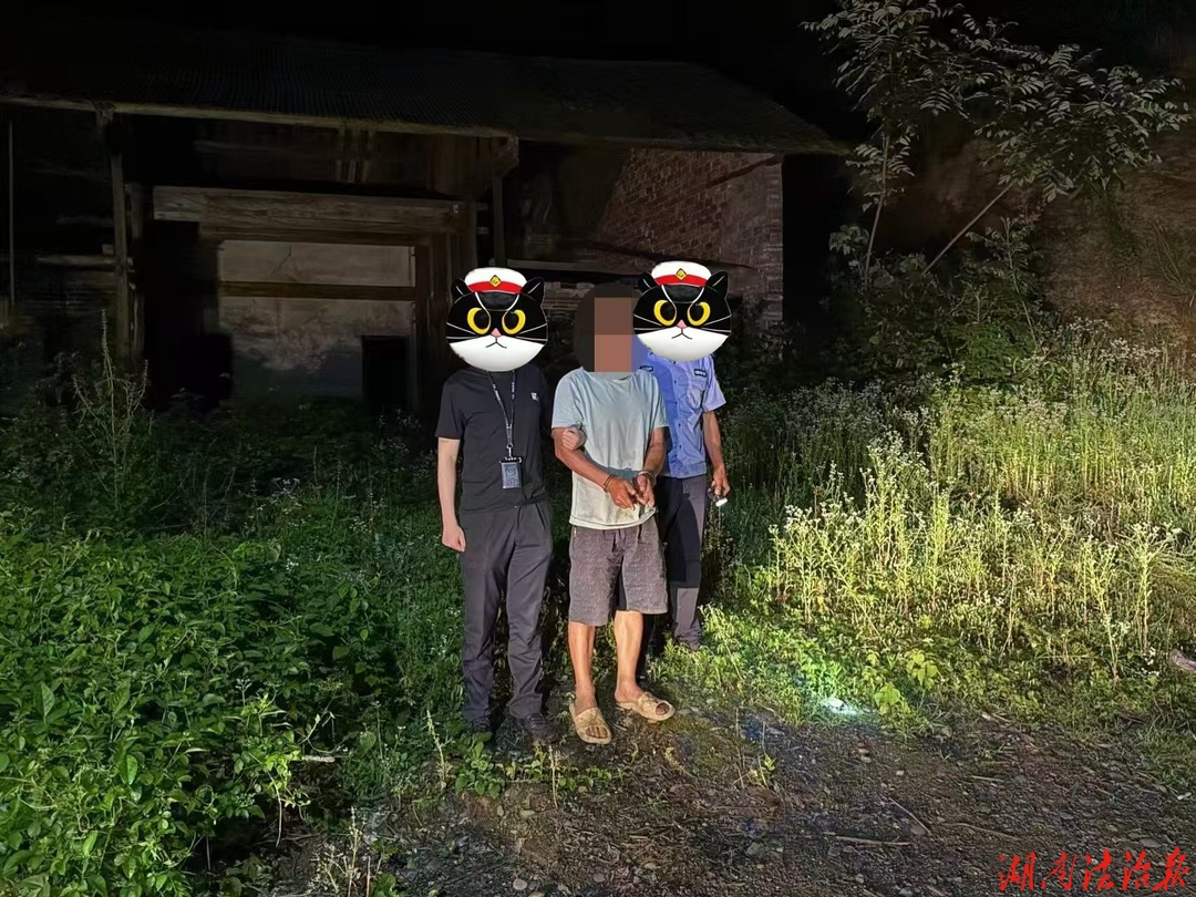 东安公安破系列盗窃家禽案