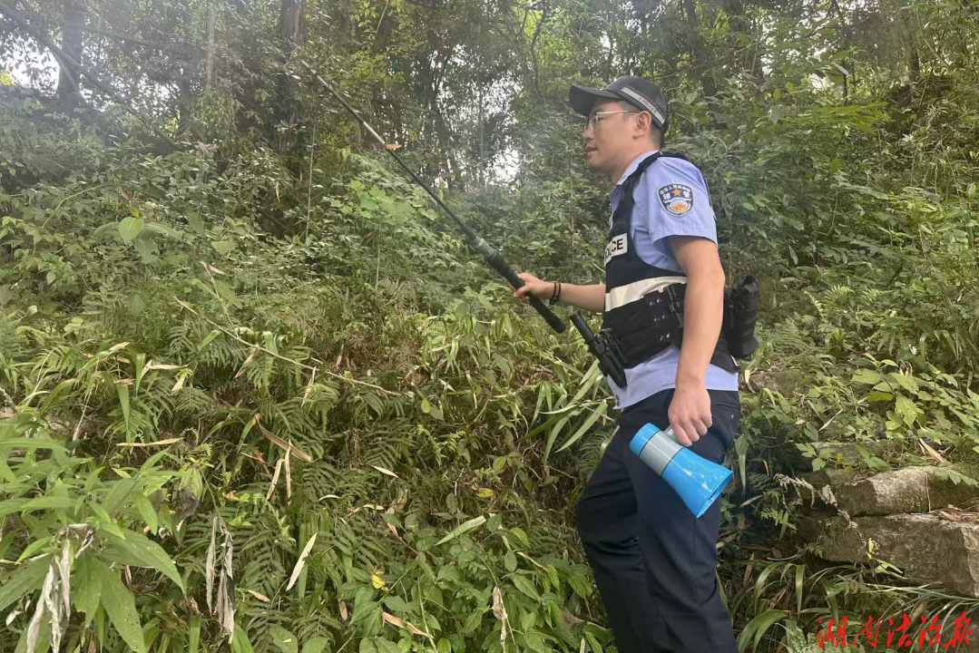 接举报、快出击、严查处！桑植公安联合执法护碧水