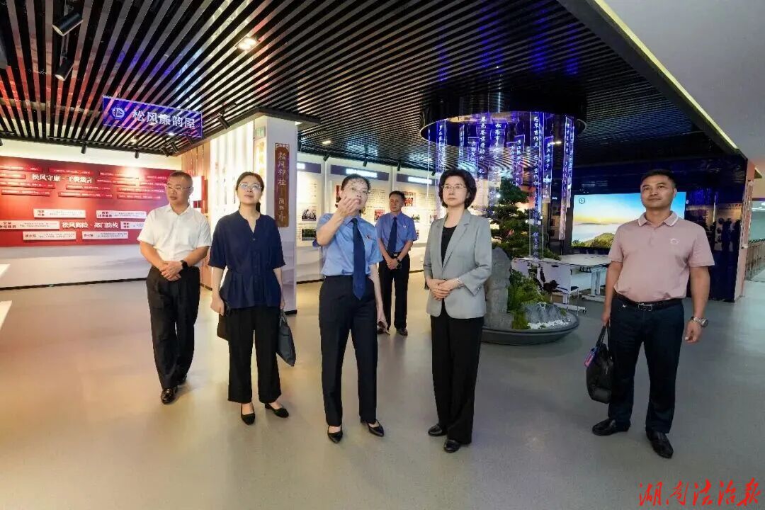 抓工作要奔着解决问题去——省检察院党组书记、检察长叶晓颖赴祁阳调研检察工作