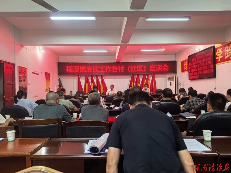 新化县槎溪镇召开底线底板工作重点村座谈会