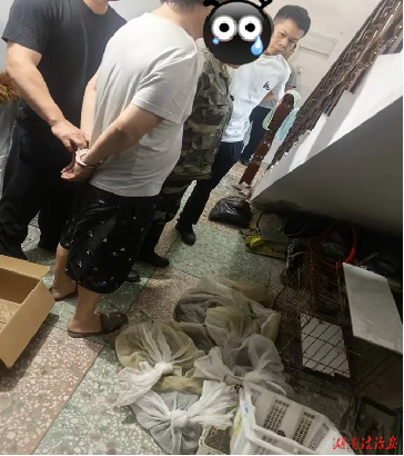 重拳打击非法狩猎 守护绿水青山
