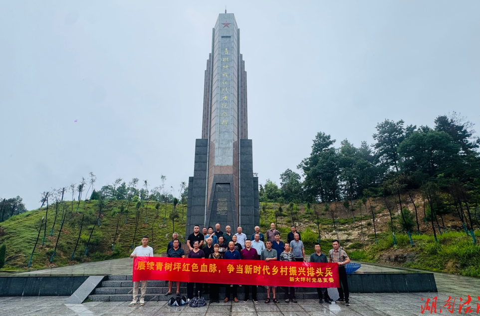 礼赞建党105周年 祭扫陵园赓续红色血脉——青树坪镇新大坪村党总支开展“七一”主题党日活动