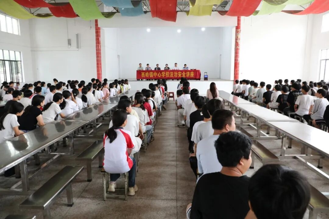 快乐过暑假，安全不“放假”——常宁法院为西岭镇中小学生送上暑期“法治锦囊”