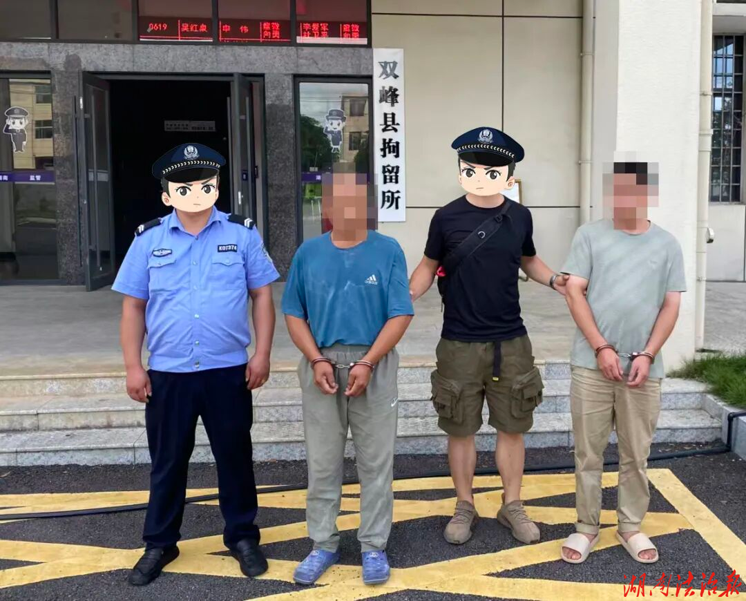 警方火速追捕，窃贼双双落网！