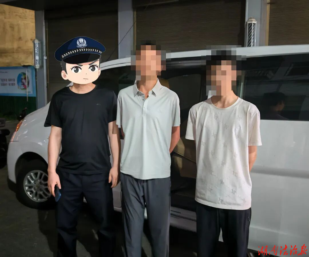 两日连抓4人，双峰公安速破“拉车门”盗窃案