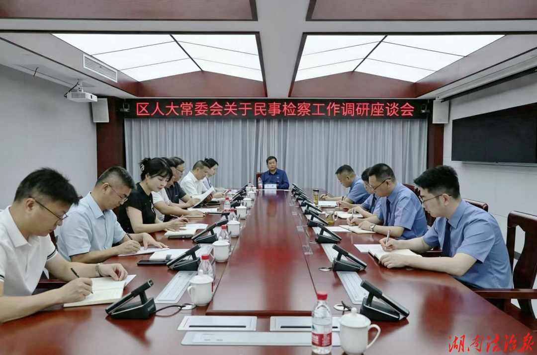 岳阳楼区人大常委会调研区检察院民事检察工作