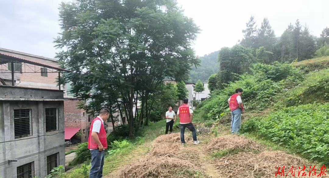 蓝山：17个行政村全域踏查 织密禁种铲毒防护网