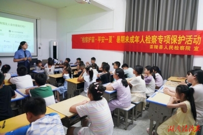 检察护苗 平安一夏 茶陵检察开展暑期未检专项保护普法宣传活动