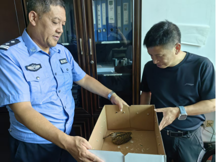 洞口惊现罕见彩鹬！警民接力救助，这份“偶遇指南”请查收