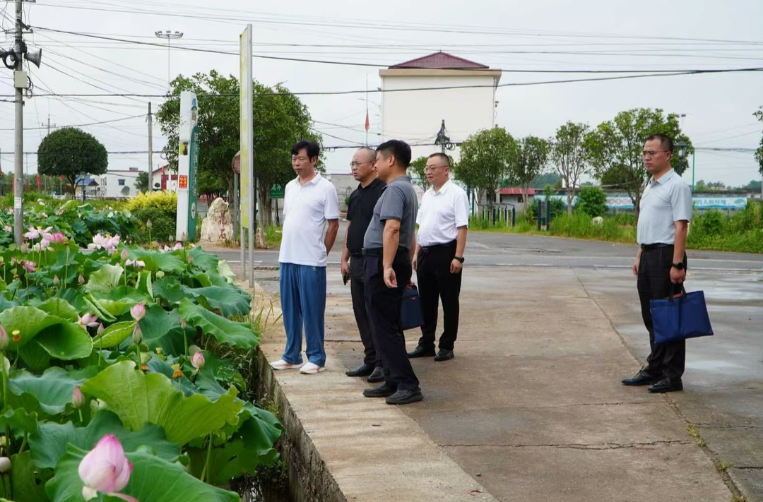 【服务企业 法治护航】 上门“法治体检” 擦亮湘莲地理标志名片