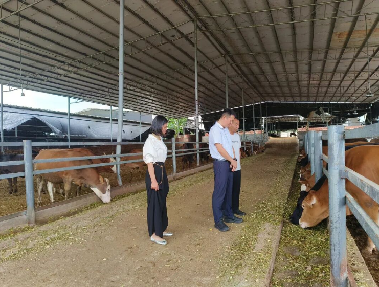 江华：毛昌麒调研外贸出口企业