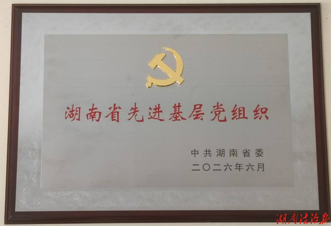党建引领铸检魂 洪江市检察院机关党支部获评全省先进基层党组织