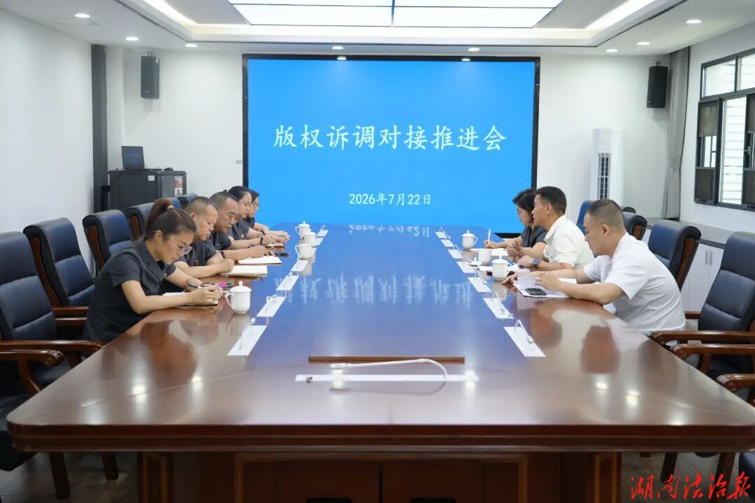 深化诉调对接联动 夯实版权司法治理