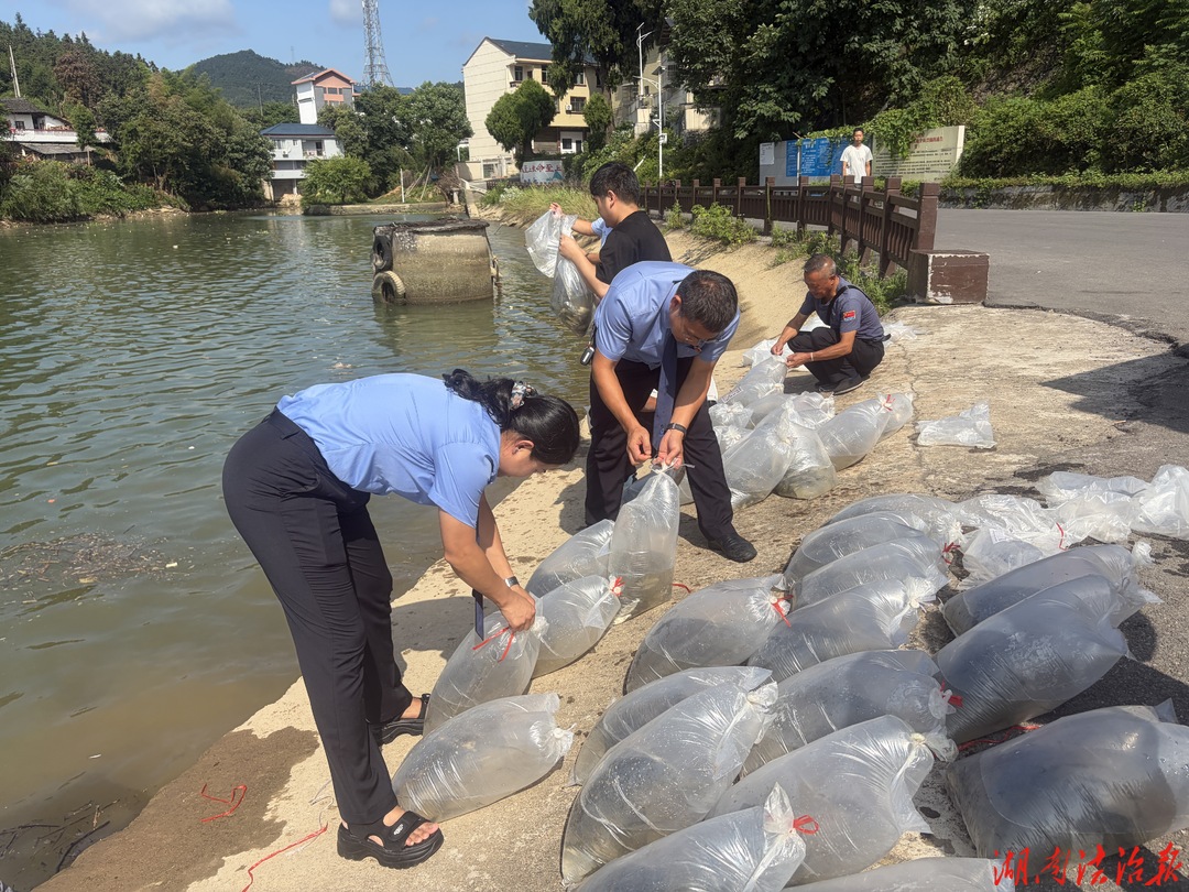 洪江检察：增殖放流补生态检察助力护清波