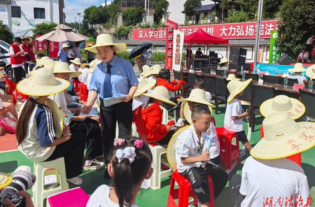 桑植县人民检察院党总支部开展暑期未成年人安全普法宣传活动