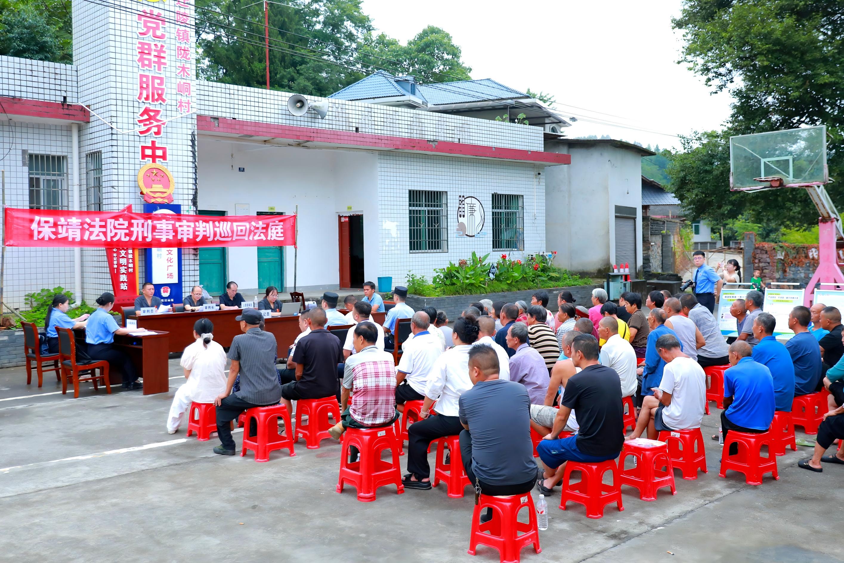 当庭致歉悔罪！保靖法院巡回审理一起 滥伐林木案