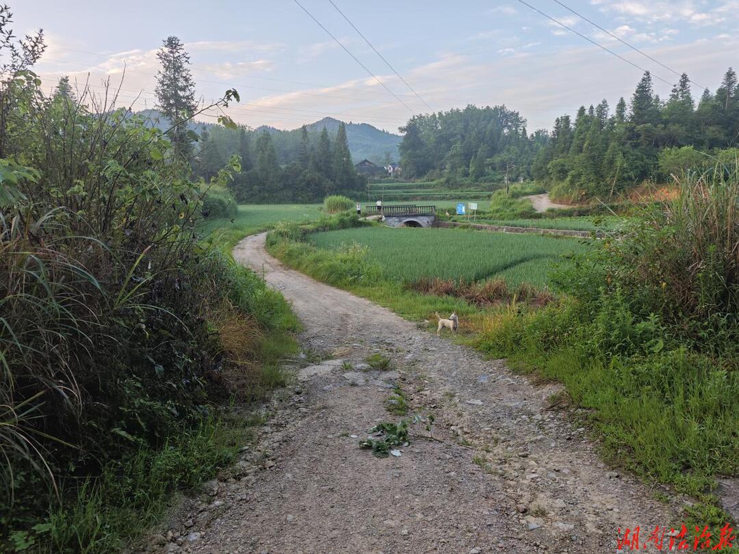 道路硬化铺就便民坦途 司法帮扶赋能乡村振兴