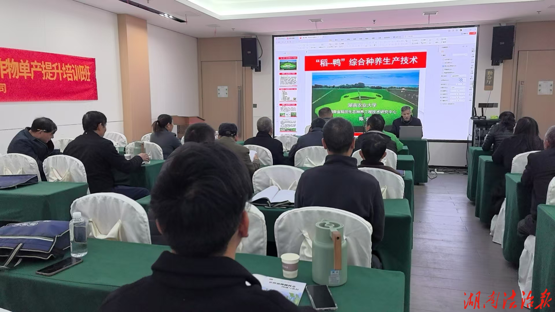 衡阳县：开展高素质农民培育，注入乡村振兴“智动力”